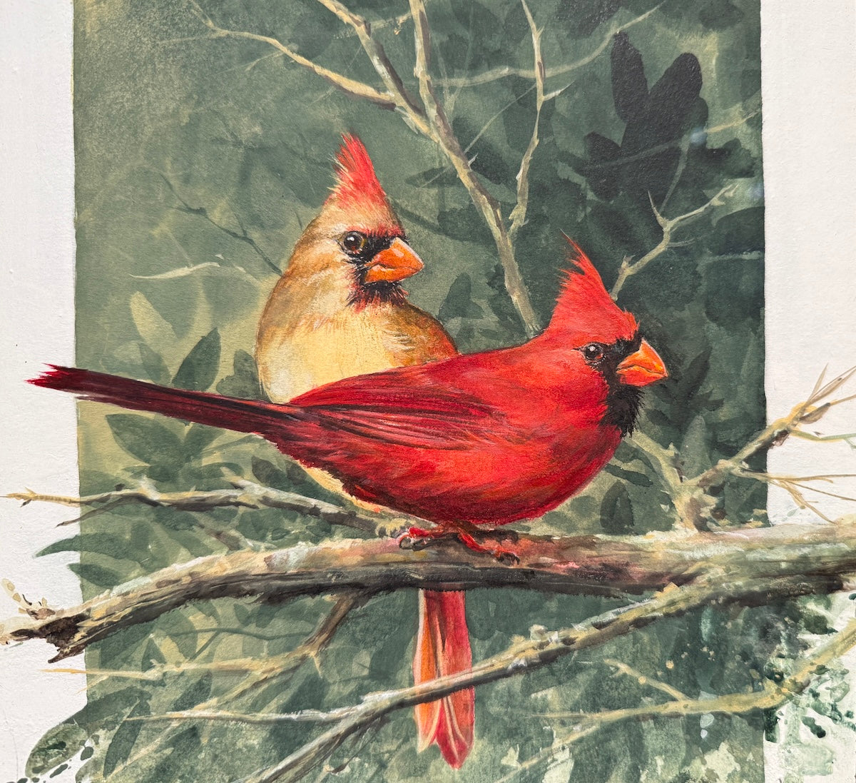 Curiosity - Cardinals by Luke Buck