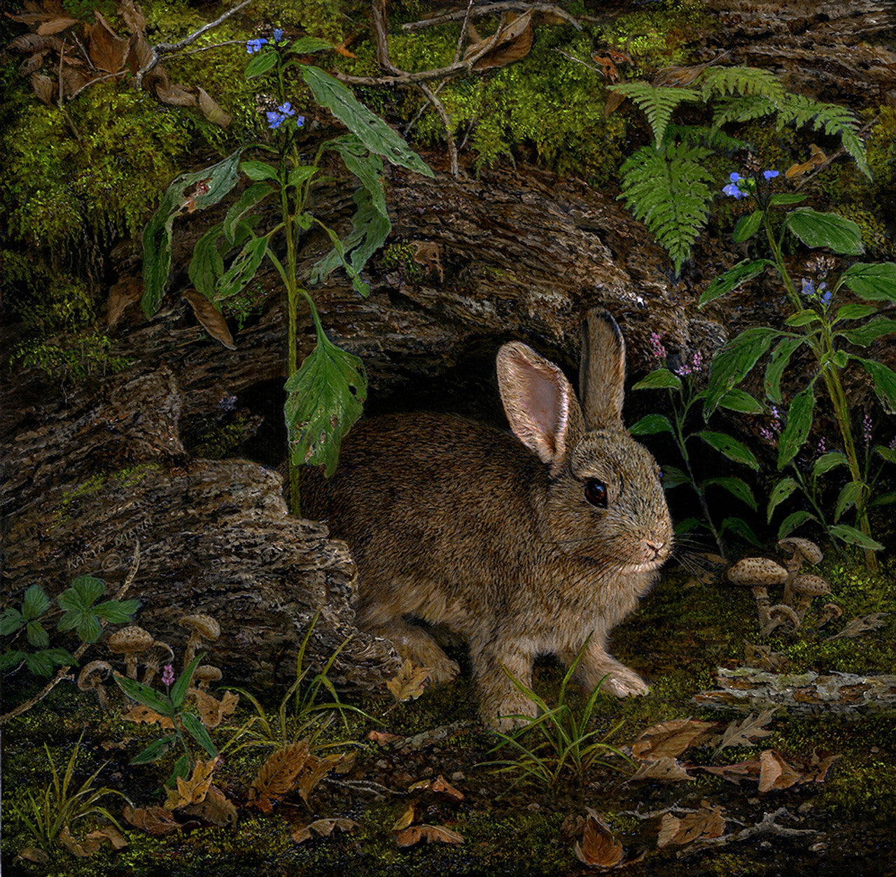 Thumper's Hideout - Rabbit by Karla Mann