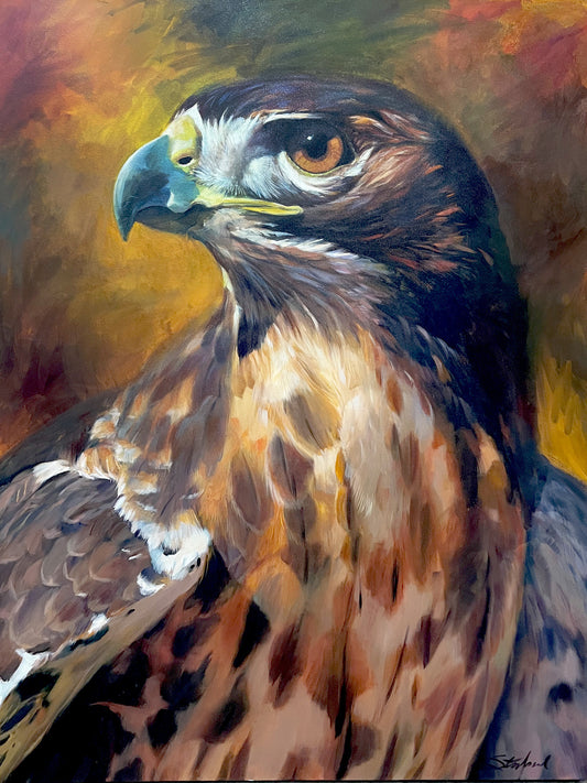 Red-Tailed Hawk original 36x48 painting by Walter Stanford