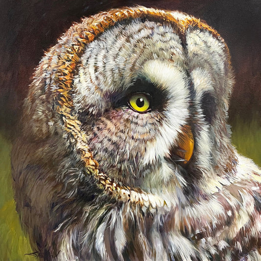 Face of the Grey Owl, 30x30 original painting by Walter Stanford