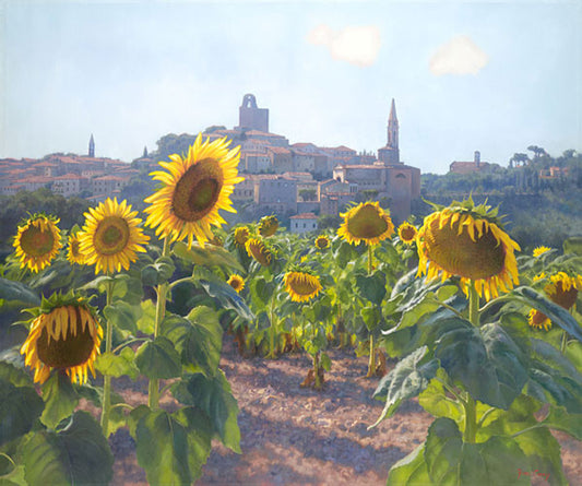 Sunflowers of Castiglion Fiorentino by June Carey framed