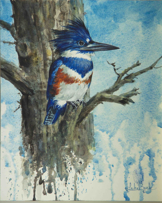 The Queen Kingfisher by Luke Buck original painting