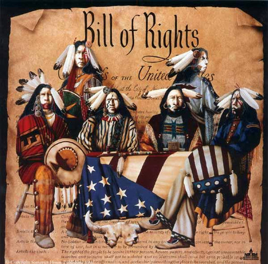 Bill of Rights by JD Challenger - SN Mini Canvas