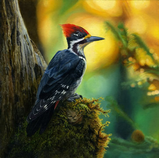 Pileated Woodpecker by Karla Mann 8x8 original painting