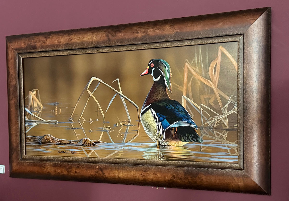 Wood Duck - Drake by Richard Clifton - Original Painting
